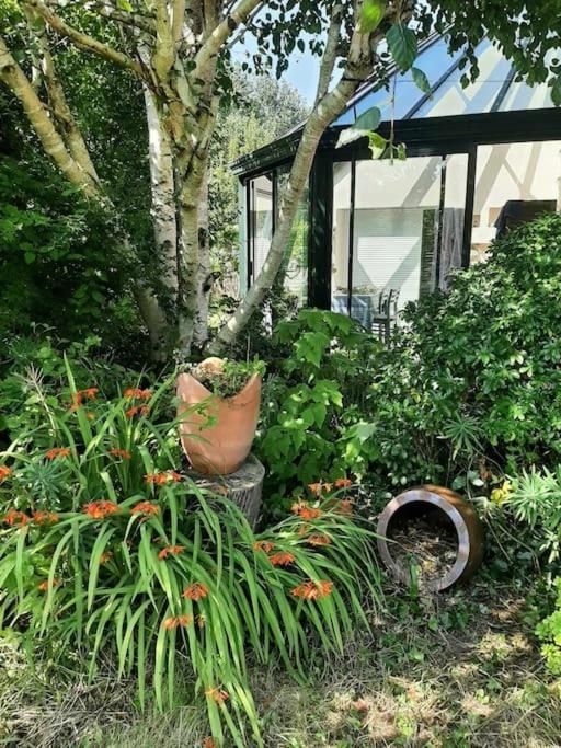 La Maison Rose - Avec Grand Jardin Clos A 300M De La Mer Hauteville-sur-Mer Extérieur photo